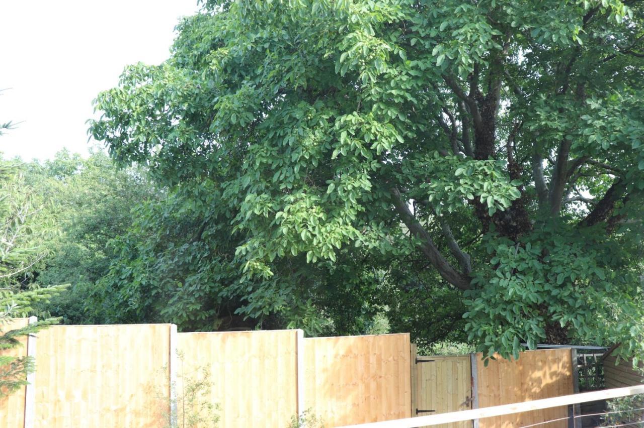 Villa Walnut Tree View Oxford Exterior foto